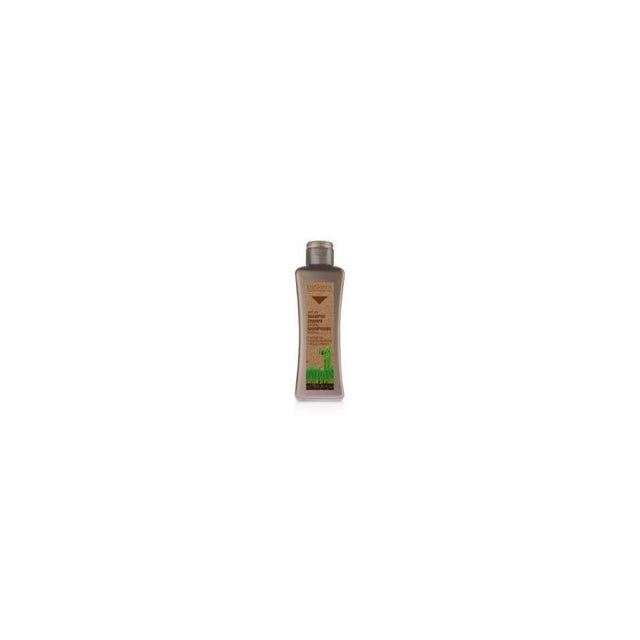 Biokera Argan Shampoing 300 ml