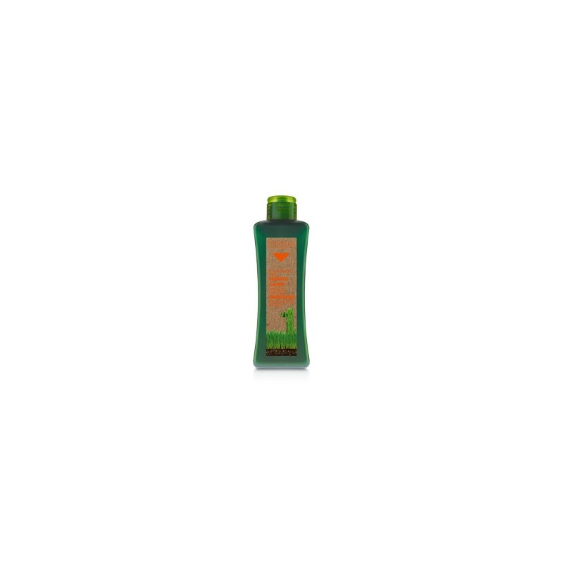 BIOKERA shampoing Cheveux Traités 300 ml