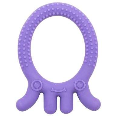 DR BROWNS ANNEAU DE DENTITION FLEXEES FRIENDS PIEUVRE VIOLET 3 MOIS+ prix Maroc
