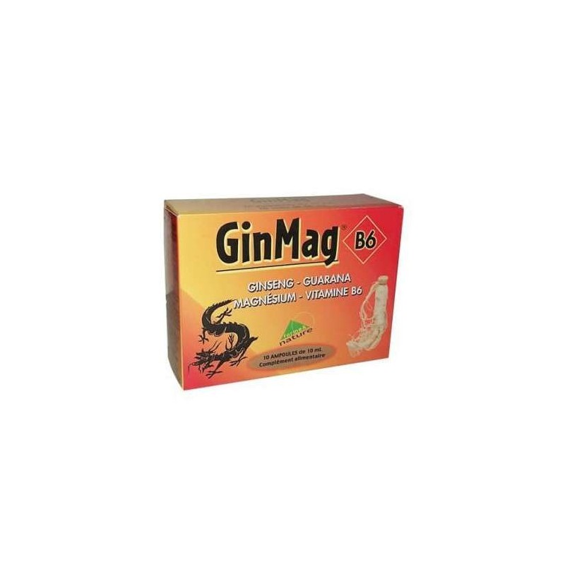GINMAG AB B6 10ML B10 AMPOULES BUVABLES