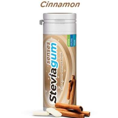 STEVIA GUM SENSES CINNAMON TEMPLATION prix Maroc